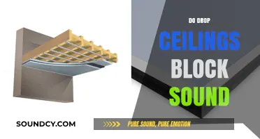 Do Drop Ceilings Block Sound? Exploring Acoustic Benefits and Limitations