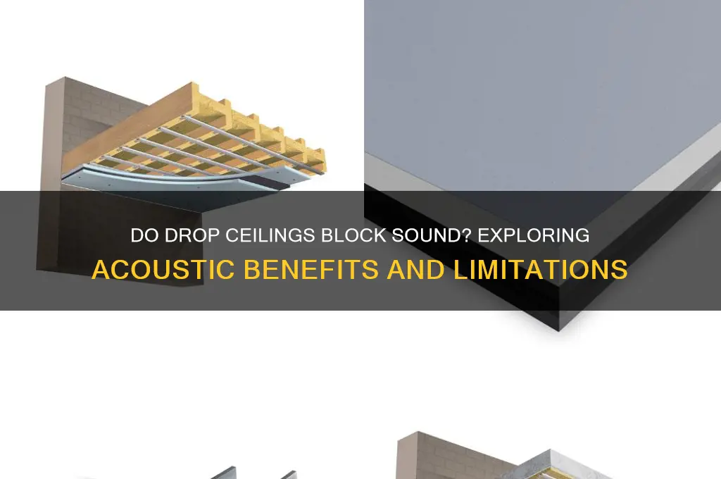 do drop ceilings block sound