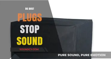 Do Dust Plugs Block Sound? Debunking Myths and Facts