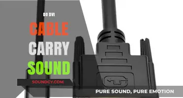 Do DVI Cables Carry Sound? Unraveling the Audio-Visual Myth