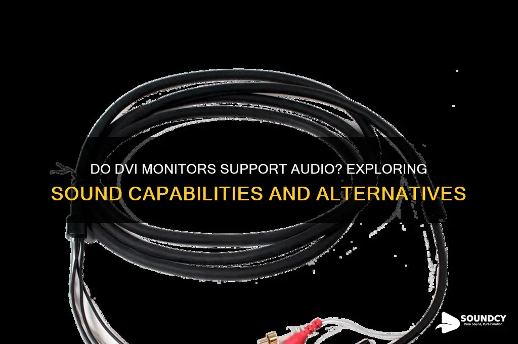 do dvi monitors have sound