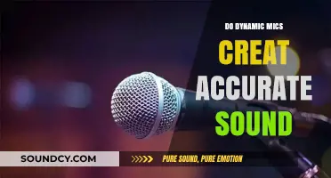 Dynamic Mics: True Sound or False Promise?