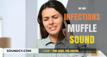 Ear Infections and Hearing: Understanding Muffled Sound Symptoms and Causes