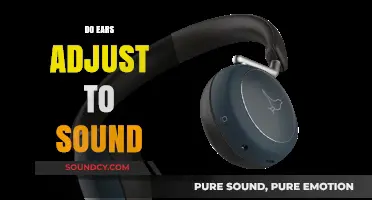 How Our Ears Adapt to Sound Levels: The Science Behind It