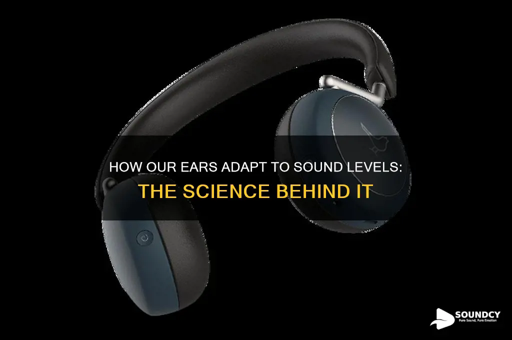 do ears adjust to sound