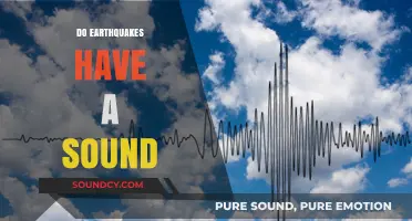 Unheard Rhythms: Exploring the Mysterious Sounds of Earthquakes