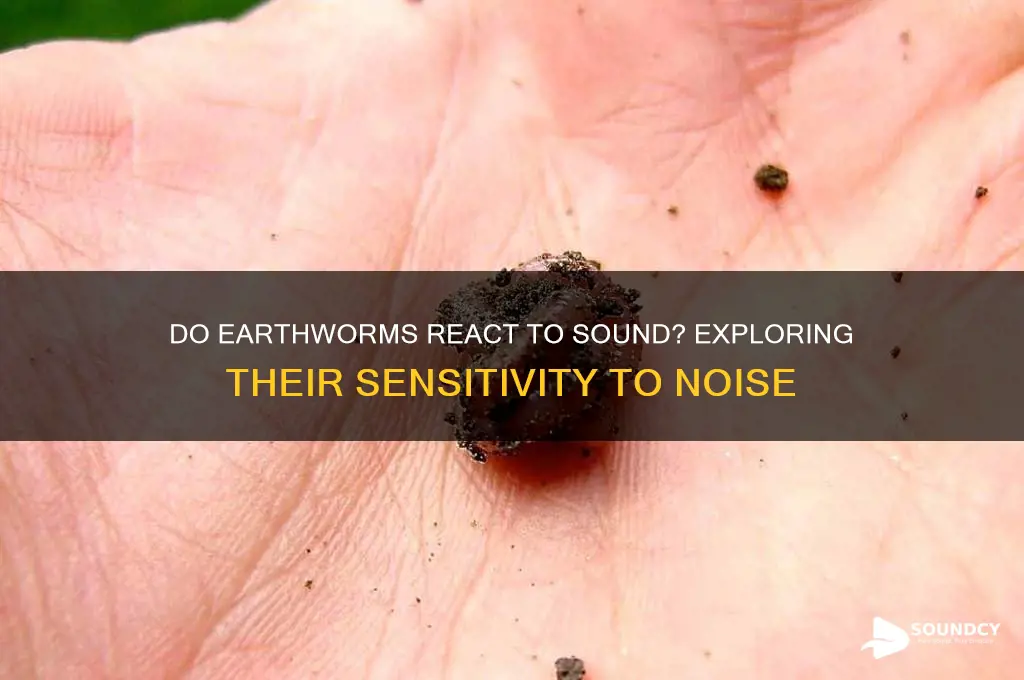 do earthworms react to sound