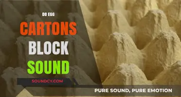 Can Egg Cartons Block Sound? Exploring DIY Acoustic Solutions