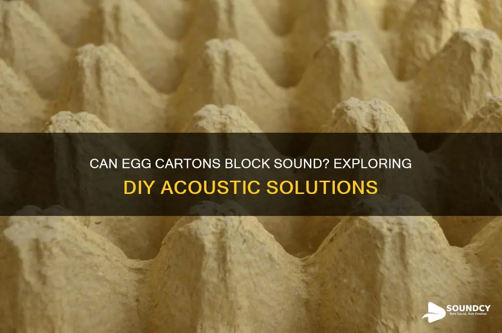 do egg cartons block sound