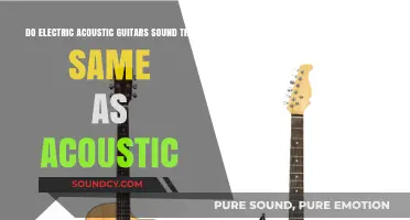 Electric vs. Acoustic: Do Their Sounds Truly Match Up?
