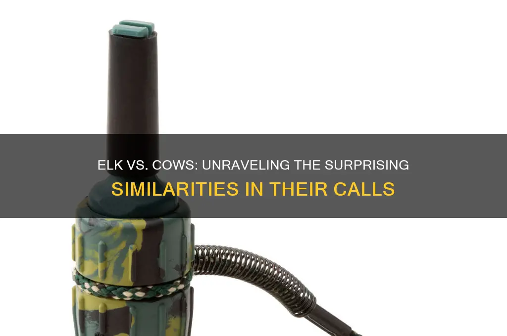 do elk sound like cows