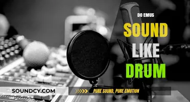 Do Emus Sound Like Drums? Exploring Their Unique Vocalizations