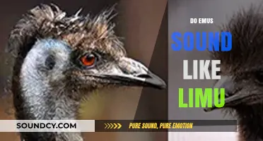 Emus vs. Limu: Unraveling the Surprising Sounds of These Unique Creatures