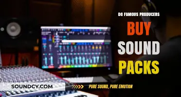 Sound Packs: Do Famous Producers Buy or Create?