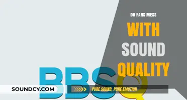 Fans and Sound Quality: Friends or Foes?