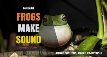 Do Female Frogs Croak? Unveiling the Truth About Their Sounds