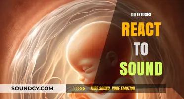Can Fetuses Hear? Exploring Sound Reactions in the Womb