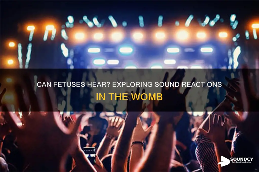 do fetuses react to sound