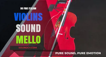 The Sweet Sound of Fine Italian Violins