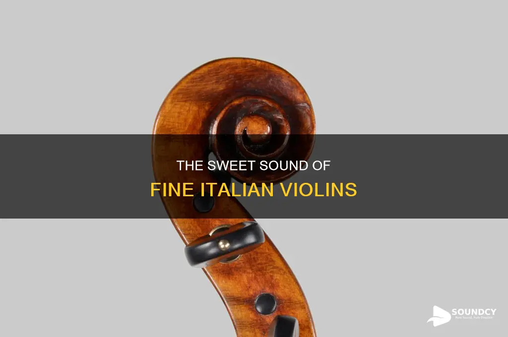 do fine italian violins sound mello