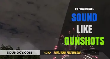 Firecrackers vs. Gunshots: Unraveling the Explosive Sound Confusion