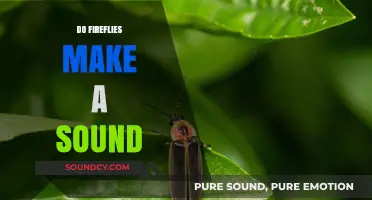 Do Fireflies Make a Sound? Unveiling the Silent Glow of Summer Nights