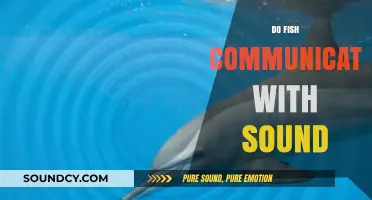 Unveiling the Aquatic Symphony: How Fish Use Sound to Communicate