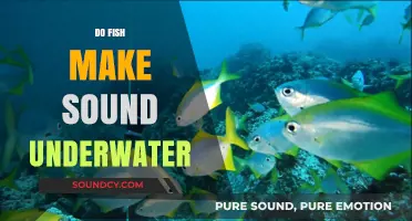 Unveiling the Secret Symphony: Do Fish Make Sound Underwater?