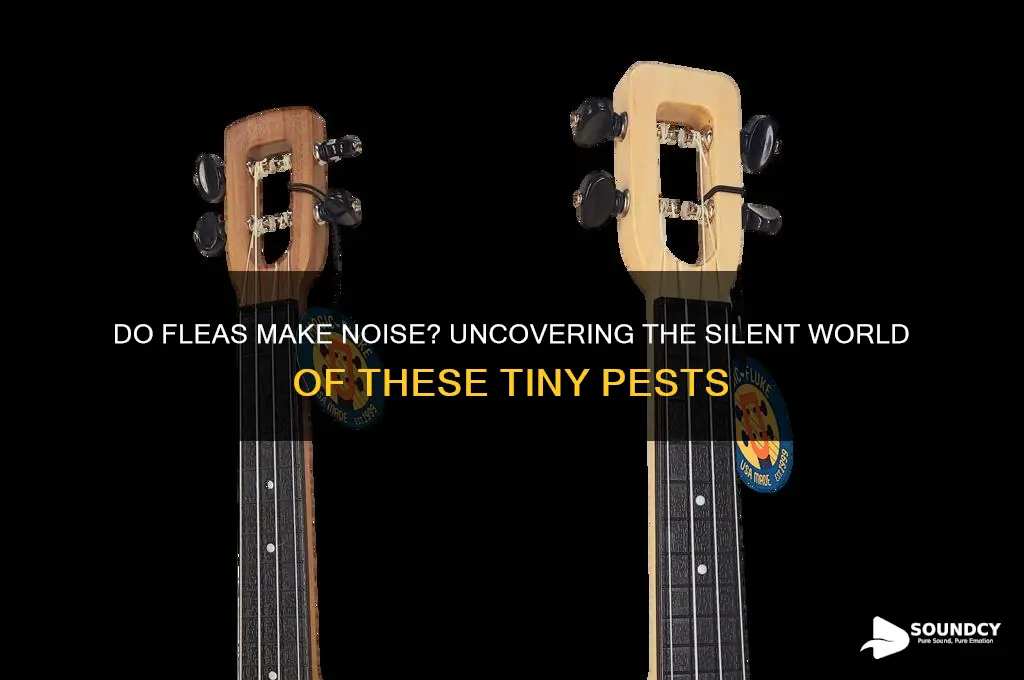 do fleas make a sound
