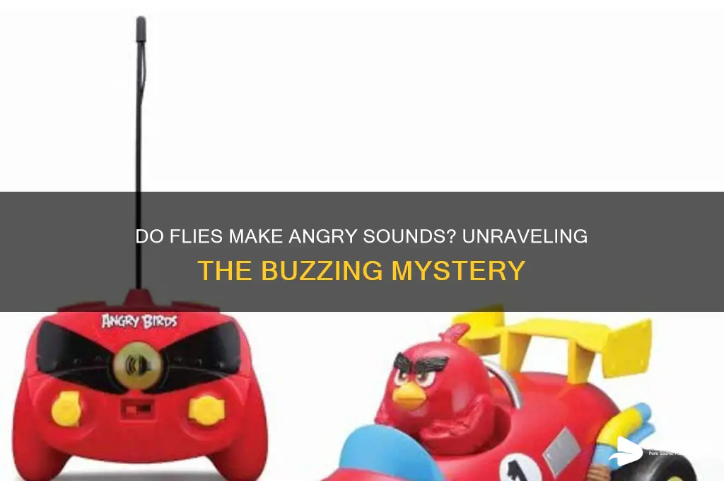 do flies make angry sounds