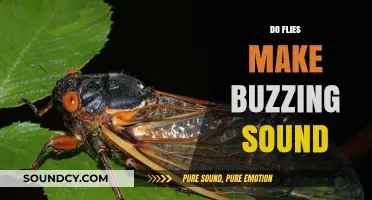 Why Flies Buzz: Uncovering the Science Behind Their Signature Sound