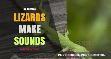 Do Florida Lizards Make Sounds? Exploring Their Vocal Abilities