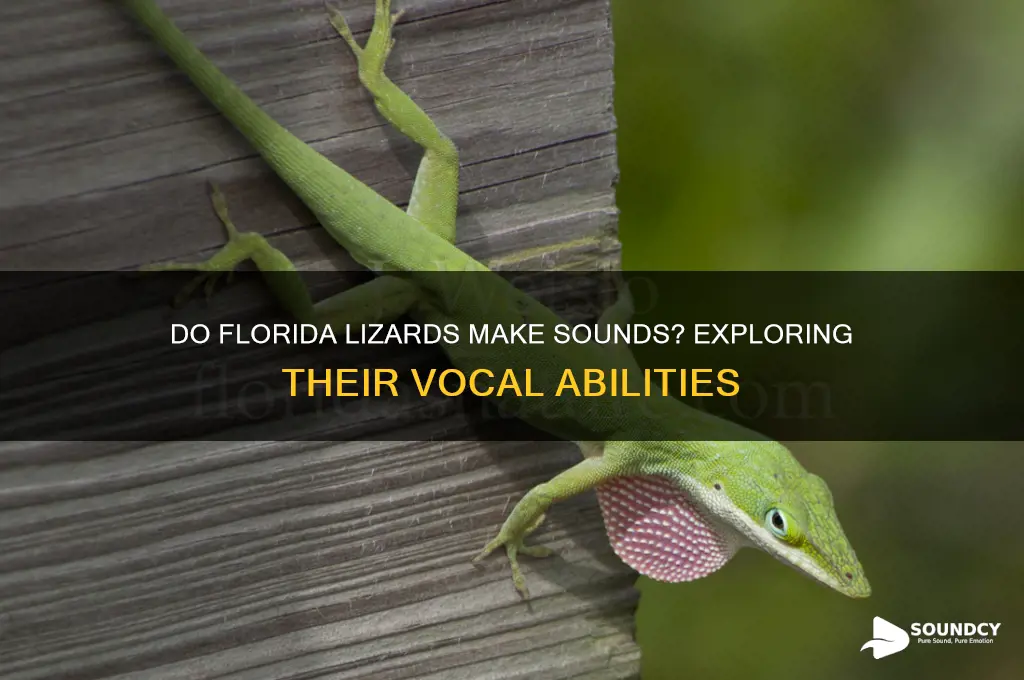do florida lizards make sounds