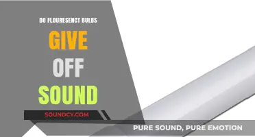Do Fluorescent Bulbs Make Sounds?