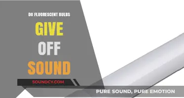 Fluorescent Bulbs: Do They Make Sounds?
