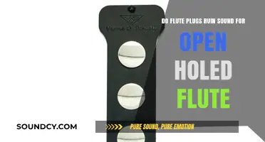 Flute Plugs vs. Open-Hole Sound: Do They Ruin Your Tone?