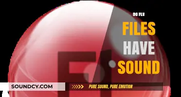 Do FLV Files Have Sound? Exploring Audio in Flash Video Format