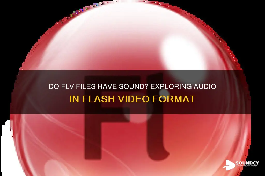 do flv files have sound