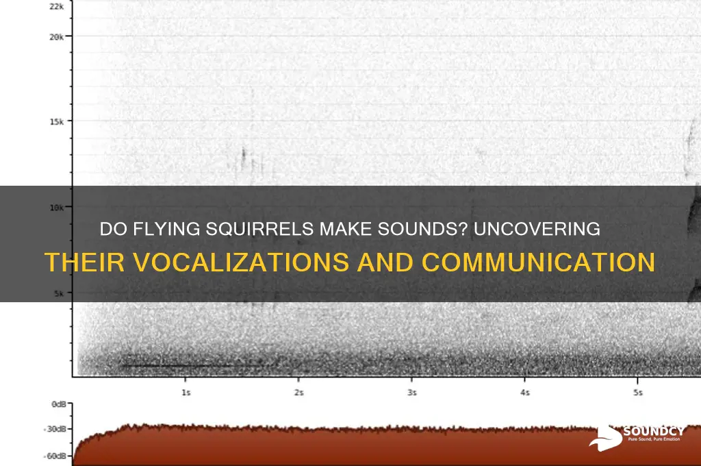 do flying squirrels make sounds
