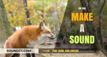 Unveiling the Mystery: What Sounds Do Foxes Actually Make?
