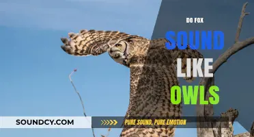 Do Foxes Sound Like Owls? Unraveling the Mystery of Their Calls