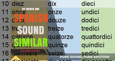 French and Spanish: Similar Languages, Different Sounds