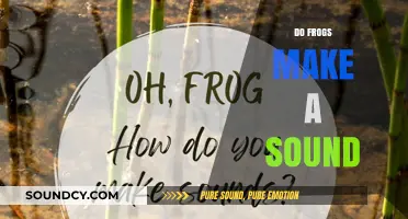 Do Frogs Make a Sound? Exploring the Croaks and Calls of Amphibians