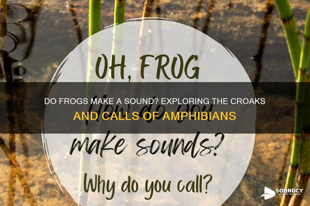 do frogs make a sound
