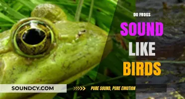 Frogs vs. Birds: Unraveling the Surprising Similarities in Their Calls