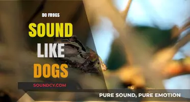 Do Frogs Sound Like Dogs? Exploring the Surprising Truth