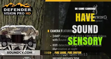 Game Cameras: Capturing Nature's Visuals, But What About Sounds?