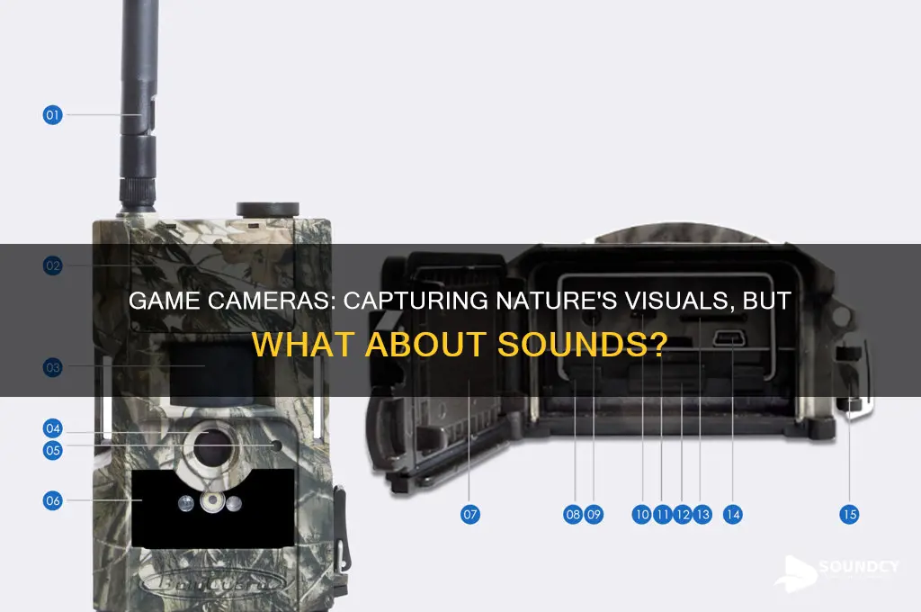 do game cameras have sound sensory
