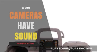 Do Game Cameras Have Sound? Exploring Wildlife Monitoring Tech
