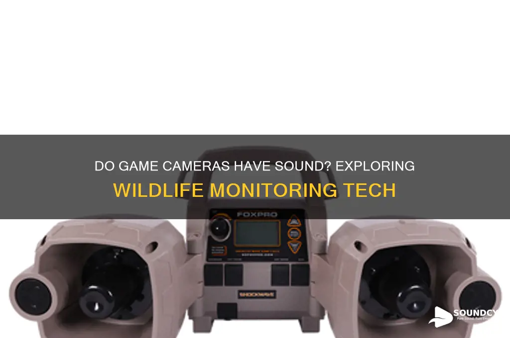 do game cameras have sound